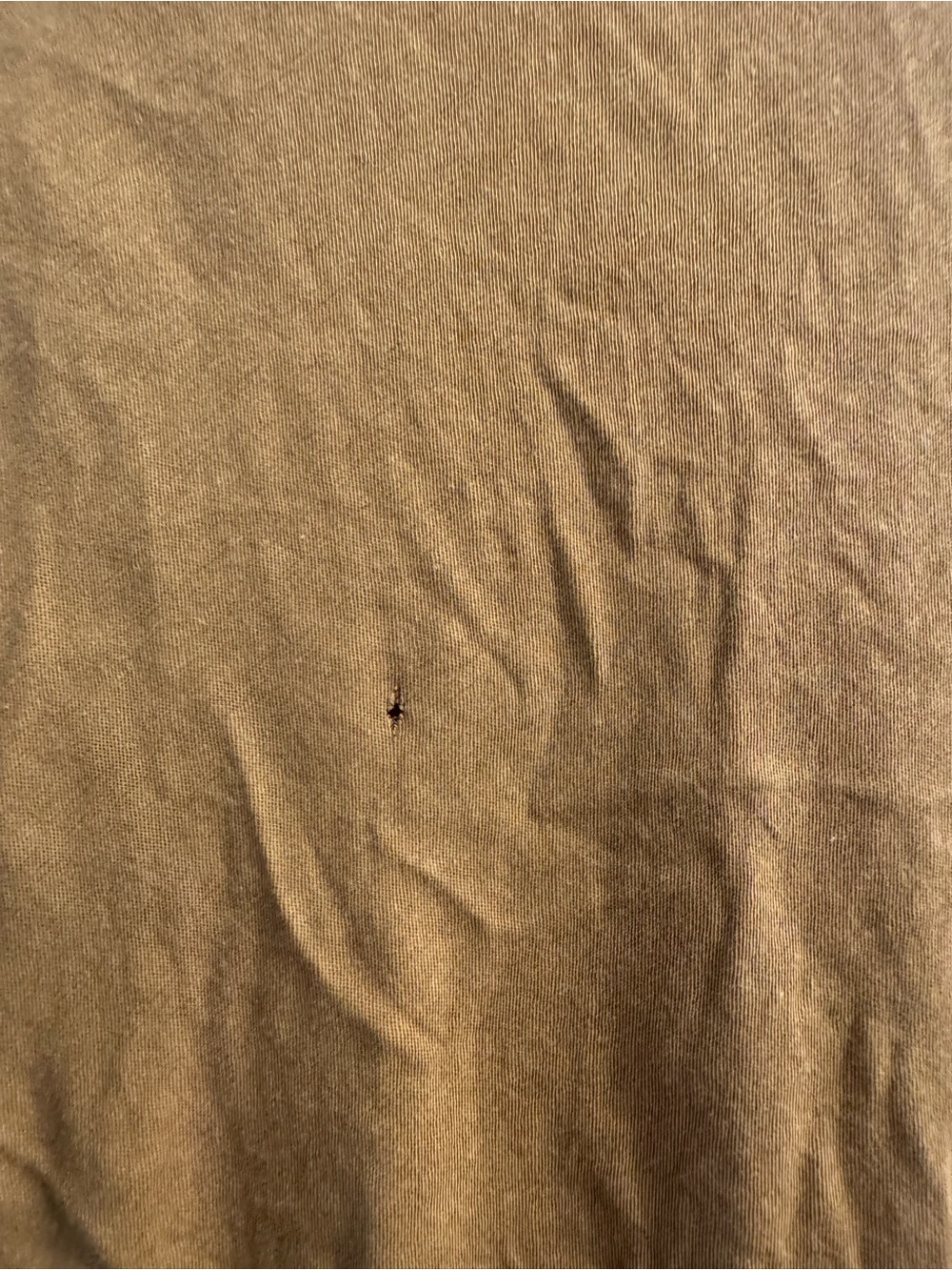 Everlane air tee - Picture 4 of 4